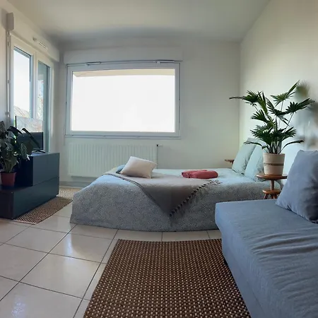 Jolie Vue Au Calme *