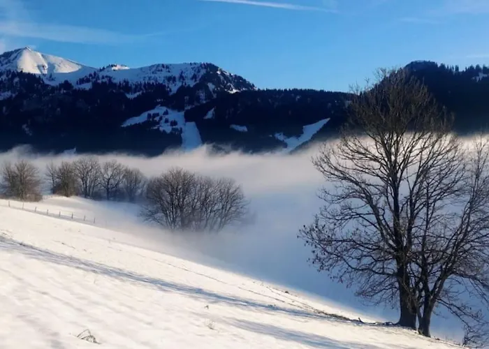 Apartamento Jolie Vue Au Calme *